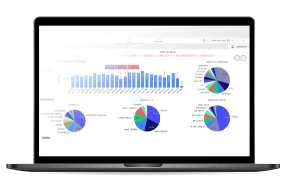 Gráficos de big data inmobiliario en un notebook